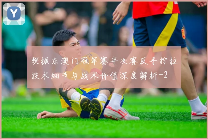 樊振东澳门冠军赛半决赛反手拧拉技术细节与战术价值深度解析