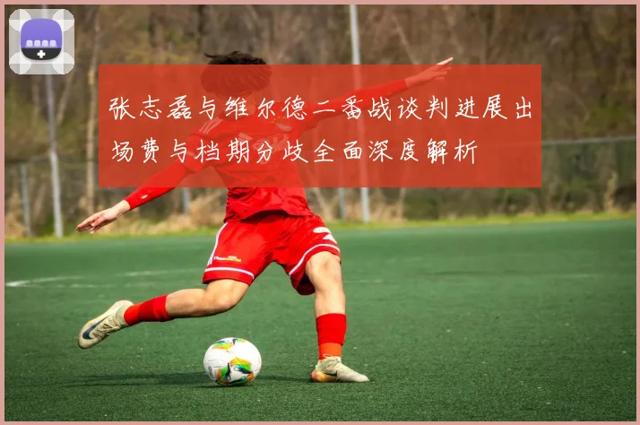 张志磊与维尔德二番战谈判进展出场费与档期分歧全面深度解析