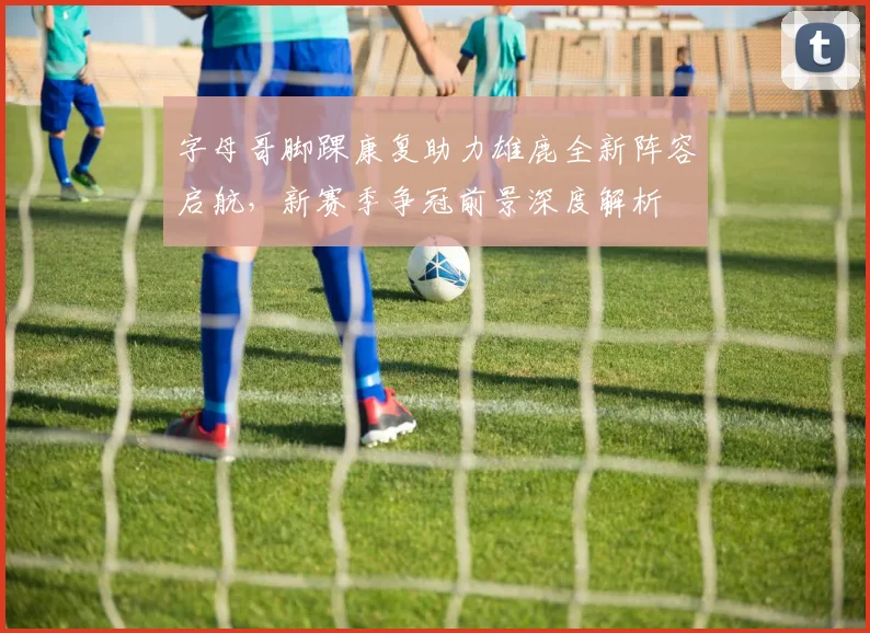 字母哥脚踝康复助力雄鹿全新阵容启航，新赛季争冠前景深度解析