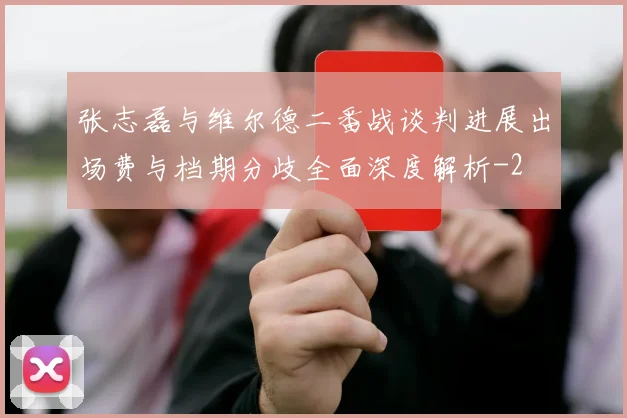 张志磊与维尔德二番战谈判进展出场费与档期分歧全面深度解析